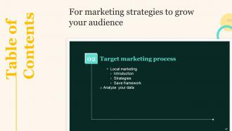 Marketing Strategies To Grow Your Audience Powerpoint Presentation Slides V