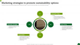 Marketing Strategies To Promote Sustainability Options