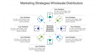 Marketing strategies wholesale distributors ppt powerpoint presentation layouts show cpb