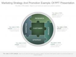 Marketing strategy and promotion example of ppt presentation