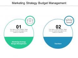 Marketing strategy budget management ppt powerpoint presentation model show cpb