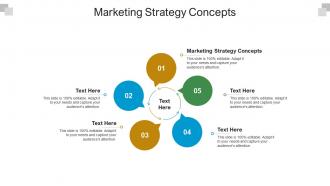 Marketing strategy concepts ppt powerpoint presentation diagram images cpb
