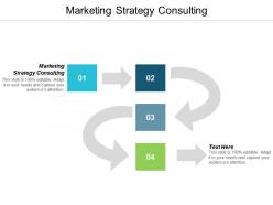 Marketing strategy consulting ppt powerpoint presentation pictures layout ideas cpb