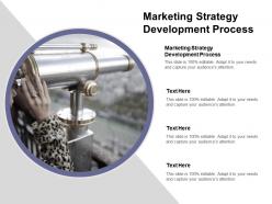 Marketing strategy development process ppt powerpoint presentation file example topics cpb