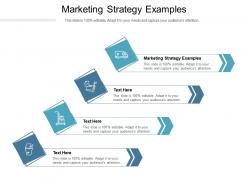 Marketing strategy examples ppt powerpoint presentation diagram templates cpb