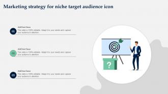 Marketing Strategy For Niche Target Audience Icon