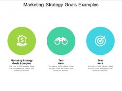 Marketing strategy goals examples ppt powerpoint presentation layouts themes cpb