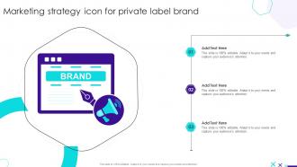 Marketing Strategy Icon For Private Label Brand