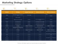 Marketing strategy options ppt powerpoint presentation portfolio file formats