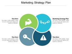 Marketing strategy plan ppt powerpoint presentation icon samples cpb