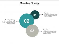 Marketing strategy ppt powerpoint presentation outline layout cpb