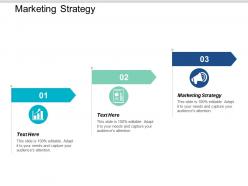 Marketing strategy ppt powerpoint presentation styles portrait cpb