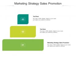 Marketing strategy sales promotion ppt powerpoint presentation gallery icon cpb