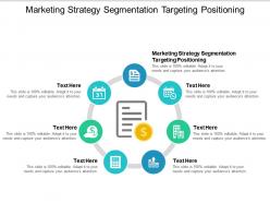 Marketing strategy segmentation targeting positioning ppt powerpoint presentation slide cpb