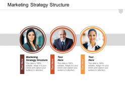 Marketing strategy structure ppt powerpoint presentation file diagrams cpb