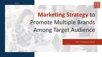 Marketing Strategy To Promote Multiple Brands Among Target Audience Complete Deck Branding CD