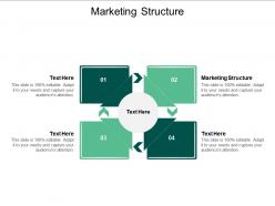 Marketing structure ppt powerpoint presentation layouts file formats cpb