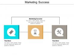 Marketing success ppt powerpoint presentation layouts introduction cpb