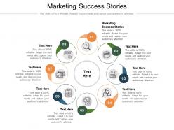 Marketing success stories ppt powerpoint presentation file ideas cpb