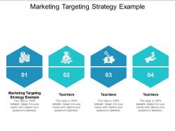 Marketing targeting strategy example ppt powerpoint presentation show portrait cpb