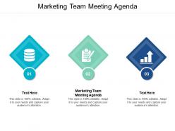 Marketing team meeting agenda ppt powerpoint presentation pictures themes cpb