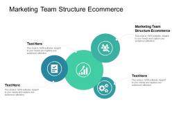 Marketing team structure ecommerce ppt powerpoint presentation gallery topics cpb