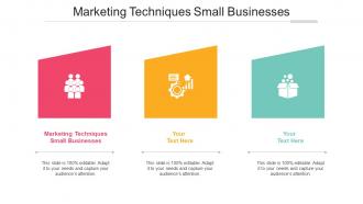Marketing Techniques Small Businesses Ppt Powerpoint Presentation Show Styles Cpb