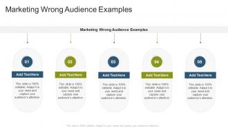 Marketing Wrong Audience Examples In Powerpoint And Google Slides Cpb