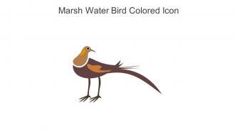 Marsh Water Bird Colored Icon In Powerpoint Pptx Png And Editable Eps Format