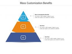 Mass customization benefits ppt powerpoint presentation professional rules cpb