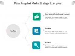 Mass targeted media strategy examples ppt powerpoint presentation show influencers cpb