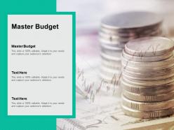 Master budget ppt powerpoint presentation layouts guidelines cpb