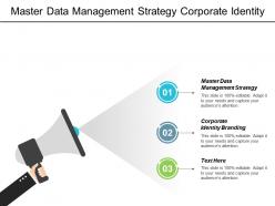 Master data management strategy corporate identity branding performance benchmarks cpb