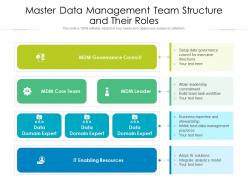 Master data management team structure and their roles
