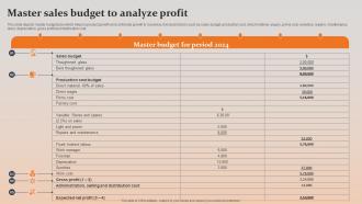 Master Sales Budget To Analyze Profit