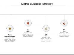 Matrix business strategy ppt powerpoint presentation summary icon cpb