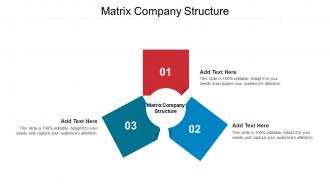 Matrix Company Structure Ppt Powerpoint Presentation Inspiration Visuals Cpb