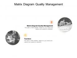 Matrix diagram quality management ppt powerpoint presentation model pictures cpb