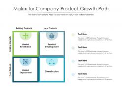 Matrix for company product growth path