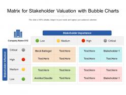 Matrix for stakeholder valuation with bubble charts