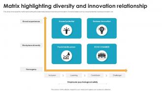Matrix Highlighting Diversity And Innovation Relationship