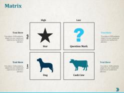 Matrix low high ppt professional infographic template