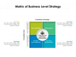 Matrix of business level strategy