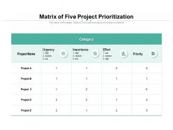 Matrix of five project prioritization
