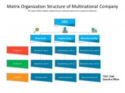 Matrix organization structure of multinational company