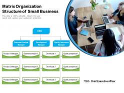 Matrix organization structure of small business