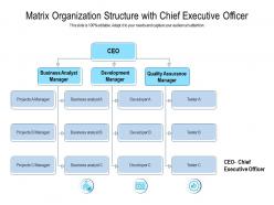 Matrix organization structure with chief executive officer