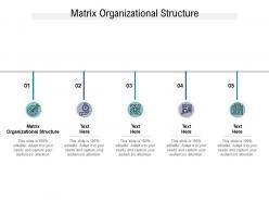 Matrix organizational structure ppt powerpoint presentation infographic template aids cpb