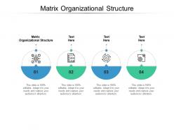 Matrix organizational structure ppt powerpoint presentation inspiration format ideas cpb