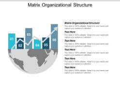 Matrix organizational structure ppt powerpoint presentation layouts show cpb